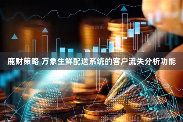 鹿财策略 万象生鲜配送系统的客户流失分析功能
